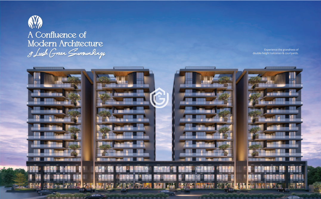 The Grassland The Grassland