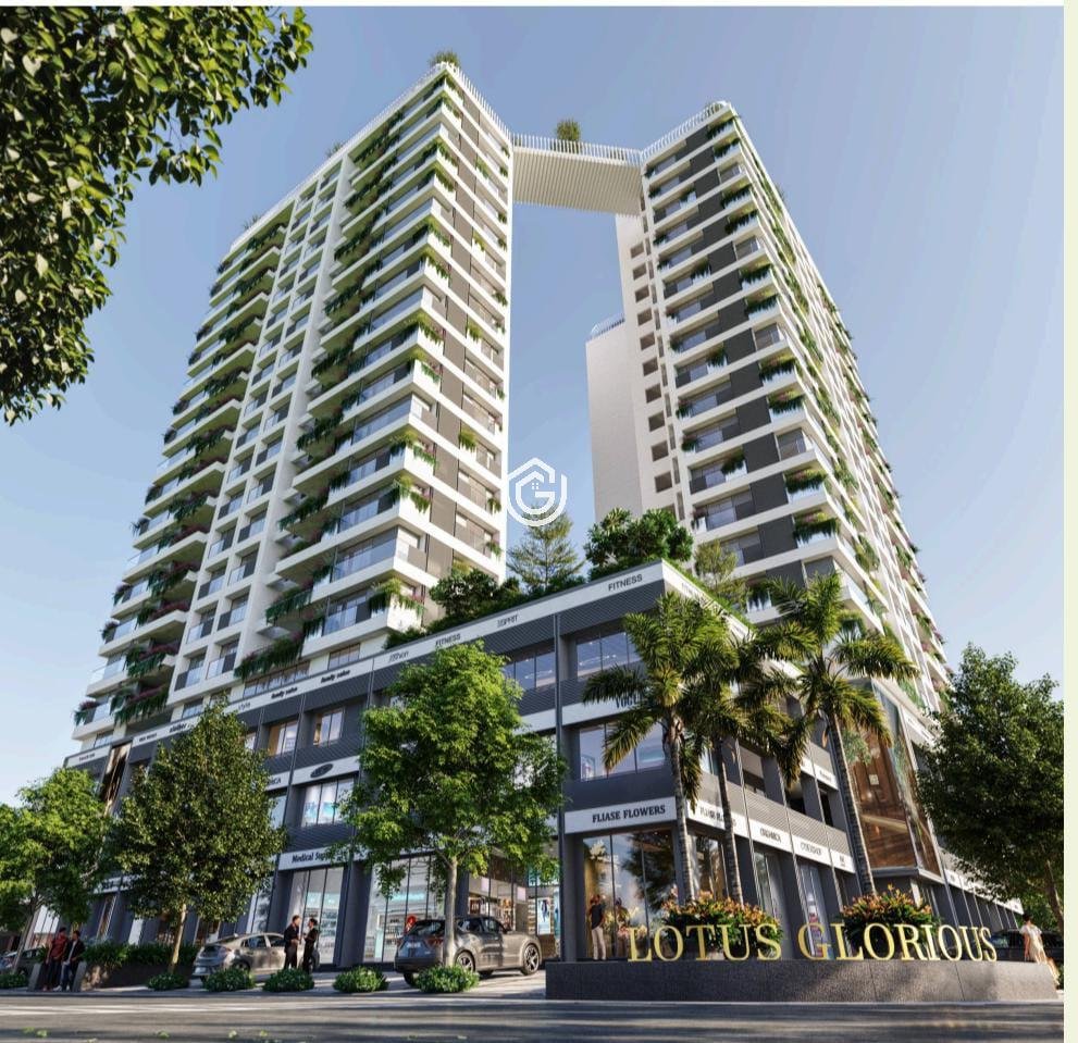 Lotus Glorious Lotus Glorious