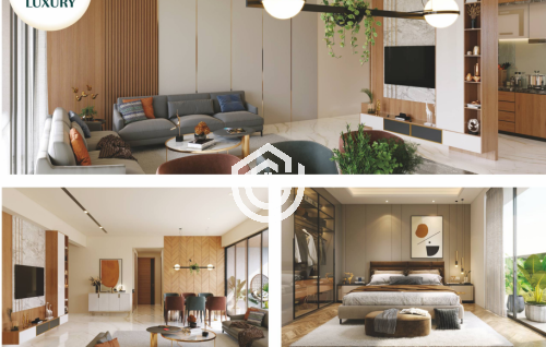 218_Screenshot_2025-07-08_112114