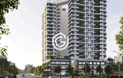 254_WhatsApp_Image_2025-10-09_at_12.39.41_PM