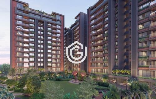 261_IMG-20251124-WA0018